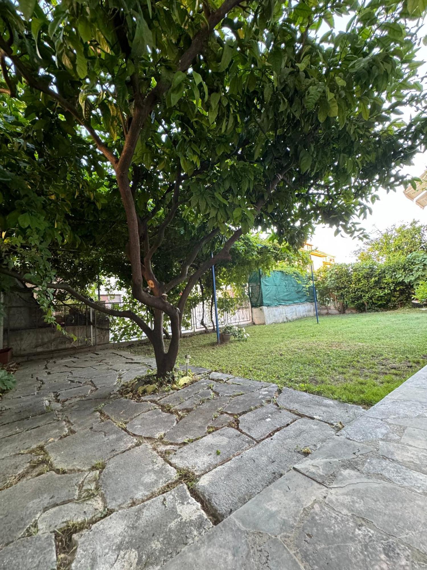 Valentinas Garden Apartment Split Luaran gambar