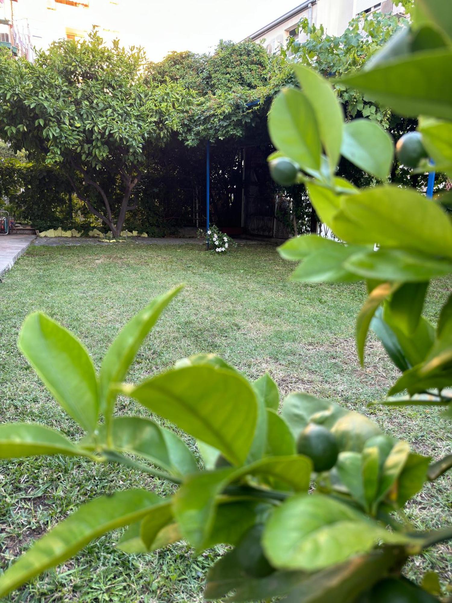 Valentinas Garden Apartment Split Luaran gambar
